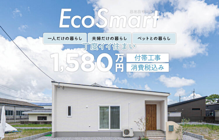 【価格改訂！】Eco Smart エコスマート　発売中！